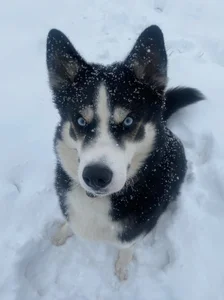 NancySmitts My life Bilde 8