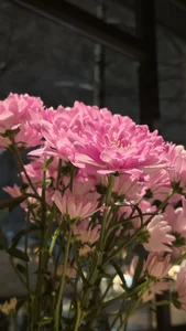 Zdjęcia BeatriceBinoche 😻😻😻😻😻😻😻😻: 