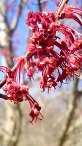 Bigneil222 nature Pic 2