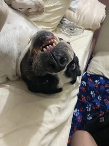 Daddysgirl1_ My angel Pic