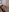 Dulcetsofy's photo
