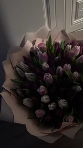 asunanue Cozy Home Vibes Gambar 3