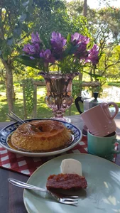 pregnant_sofii18 happy taste to the palate 사진 4