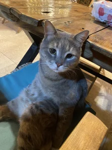 CelesteBailey In My Free Time 💕 Foto 7