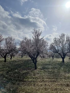 NeEdnaBradley 🙈 Billede