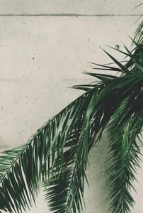 DomiXnika Public Pic 4