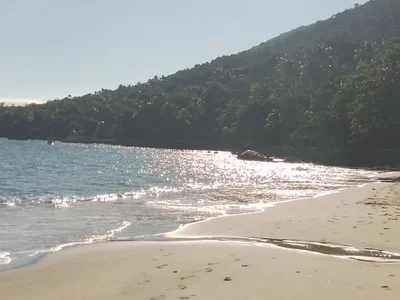 taradinhogostoso69 Safadinho ☺️ Foto 3