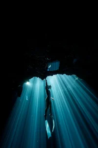 28 turns to the sun ✨ de camila3__  2 Imagens