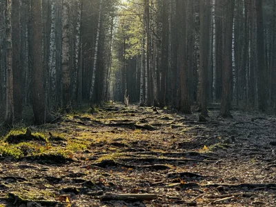 AlexFH life is beautiful slika 5