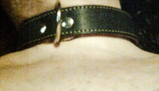 maukinkysPublic Bild 2