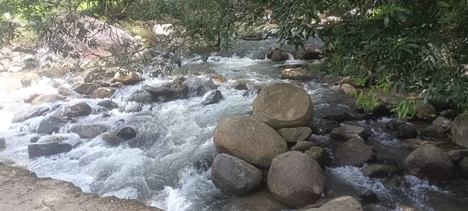 natasha__jacksonDía libre图片 3