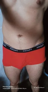 smallcockgrowerのPublicの枚の写真