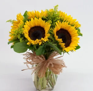 Sime_Naughty Public slika 3