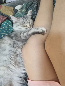 _kikiclark__のme and Fluffy ^^の枚の写真