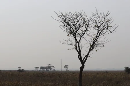 Bengali_hot_boy Public  3টি ছবি