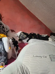 lanax Halloween 2024 Pic