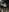Live stream patio cam show