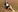 SophieeBrown's photo