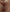 creamy pussy + asshole close to cam