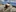AlishyaJoi's photo