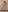 XXX Pics Compilation for Fan Club
