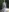 Womanoflove1's photo