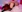 Yennastone's photo
