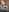 ElazabethJones's photo