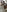 Syka0001's photo