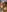 40 surprise photos