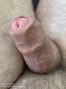 MagnusCockus Public Εικόνα 5