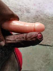 lobo_caliente37 Public 사진 4