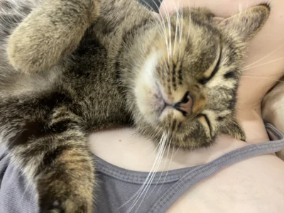 Chloe_embe Meo Meo Pic 3