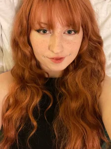 KandyPaws Public  3. fénykép