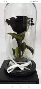 Public od Ang3l_19  snímek