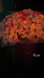 Alexa_Girl1 flowers (*¯︶¯*) صورة واحدة|Alexa_Girl1 flowers (*¯︶¯*) صورتان|Alexa_Girl1 flowers (*¯︶¯*)  5 صور|Alexa_Girl1 flowers (*¯︶¯*)  5 صورة