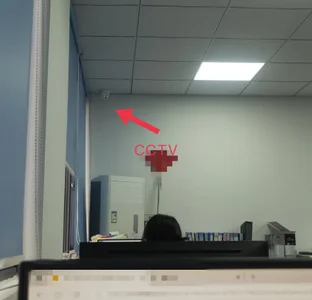 -CelesteFox- Public Pic 4