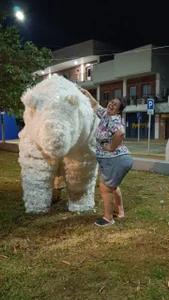 CAMILA_BBW Public  2টি ছবি