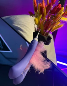 Elis_Fox my little friends Immagine 