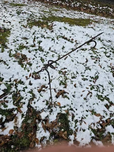 MasterForgedRayy Master Ray in the Forge Hình 5