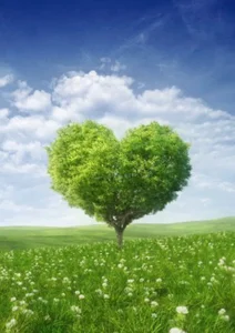 LuckyBabe_new01 sweet love . fénykép