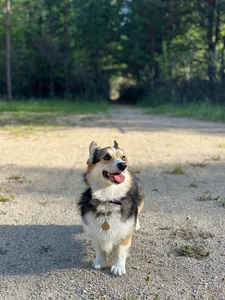 weekend de Ariana_Petite Foto 4