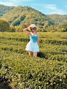 _Cutiefull_Lion_Public图片 5