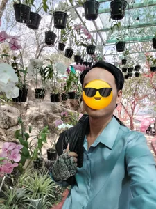 Thích đi chơi de hdhcis  3 Imagens