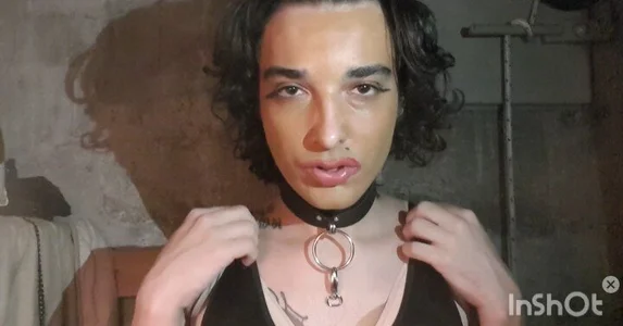 Public de TransLexata  8 Imagens