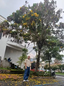 Dante_Bear_ Public Poză 2