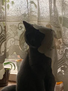 liana_kisses The vibe of early winter... ❄️ Pic