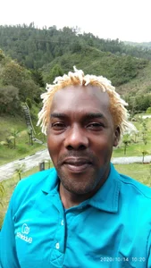 sharpei Public Foto 6