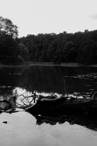 Public od goldengenesdoll  5 snímek