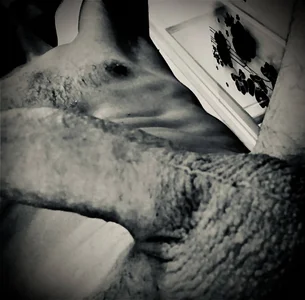 Public de Arturito9769  4 Imagens